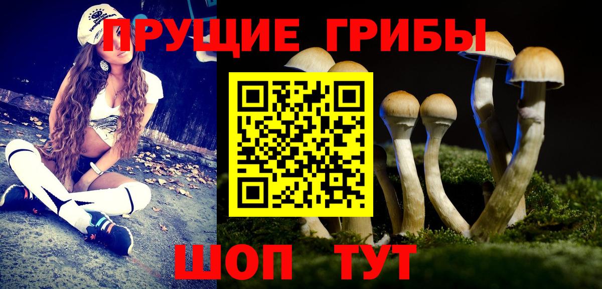 Галлюциногенные грибы Magic Shrooms  где купить наркотик  Тихвин  Вход с VPN 